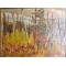 Lakeside near Combermere Ontario 1961 by AY Jackson